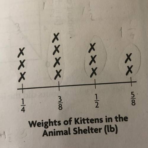 What is the average weight of the kittens in the shelter?
Pls help