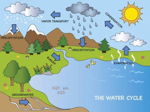 The diagram shows the process of the water cycle on Earth. Heat from the Sun causes water to evapor