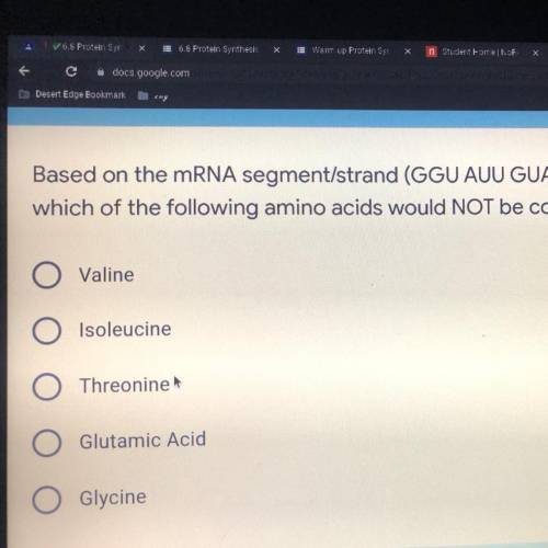 What does the mRNA segment/strand (GGU AUU GUA GAA CAG UGC) on

the w/s translate into for an amin