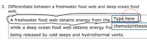 A freshwater food web contains energy from what