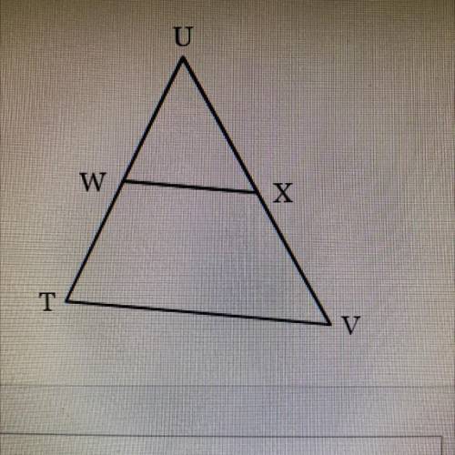 In the diagram below of triangle TUV, W is a midpoint of TU and X is a midpoint

of UV. If W X = 2