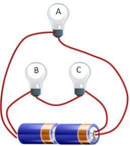Consider three identical light bulbs connected as shown in the circuit below.

a. Which light bulb