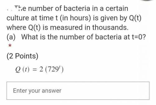 What is the measured of bacteria at t=0?​