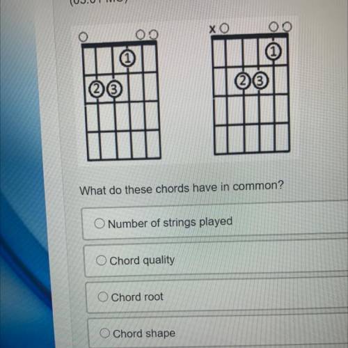 What do these chords have in common?