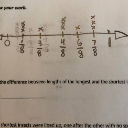 What is the difference between lengths of the longest and the shortest insects?