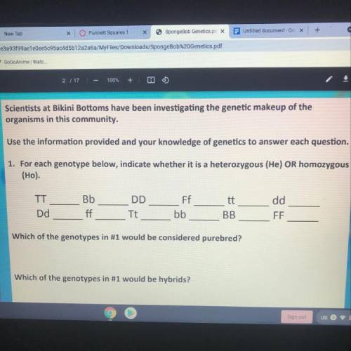 Need help with genotypes