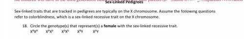 Circle the genotype(s) that represent(s) a female with the sex-linked recessive trait. X^BX^B X^BX^