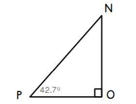 What is the measure of angle N?