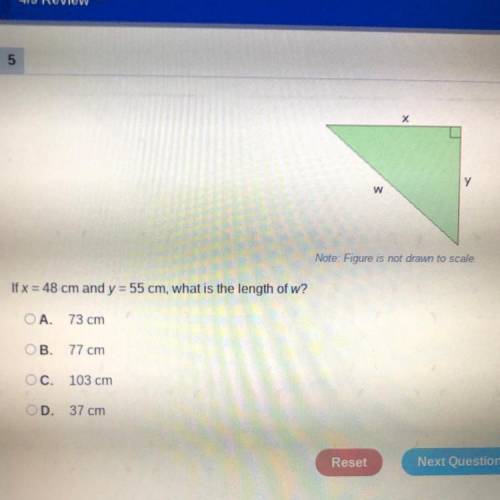 I’d x =48cm and y= 55cm, what is the length of w?