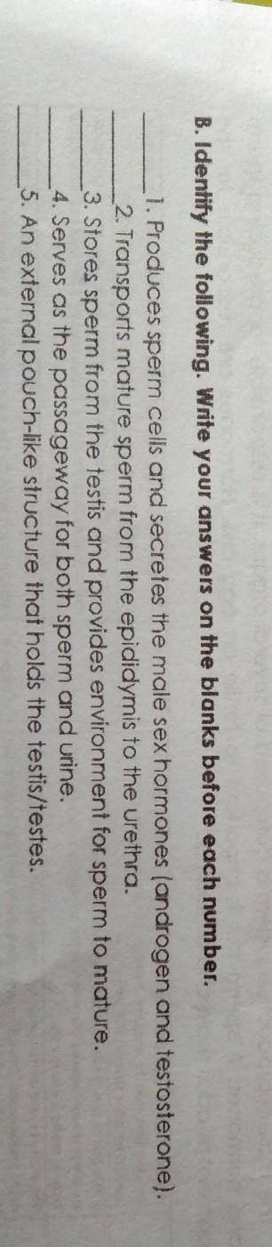B. Identify the following. Write your answers on the blanks before each number.

1. Produces sperm