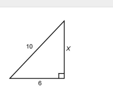 What is the value of x?
Enter your answer in the box.