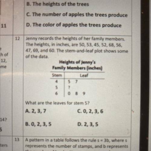 Number 12 please help 10 points no links pleAse