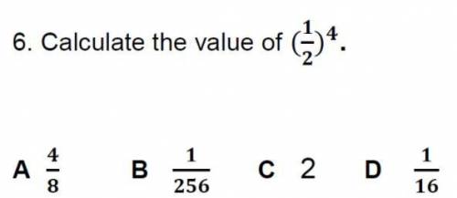 Calculate the value of (1/2)^4