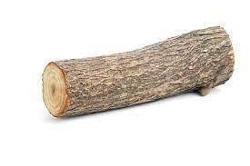 Log 
its just a log °³°
