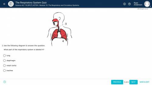 Use the following diagram to answer the question.

What part of the respiratory system is labeled