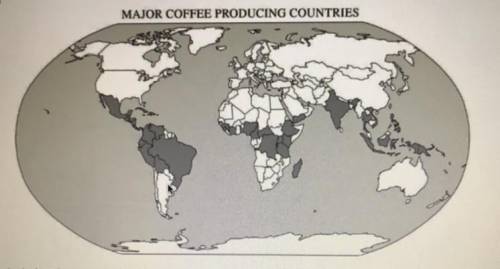 Agricultural systems, such as the production of coffee, are part of a global network.

A. Describe