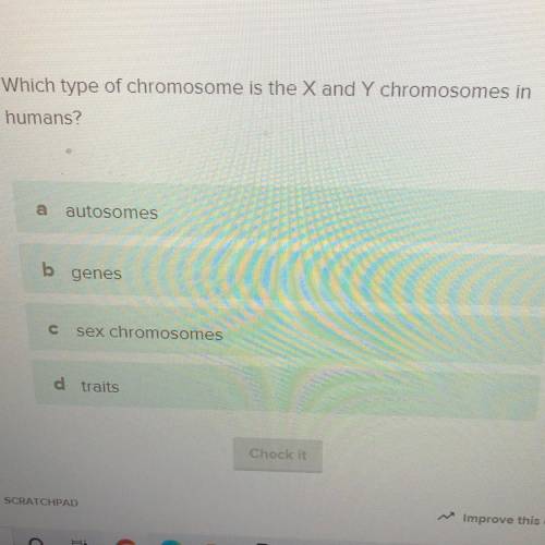 Which type of chromosome is the X and Y chromosomes in

humans?
a
autosomes
b
genes
c
sex chromoso