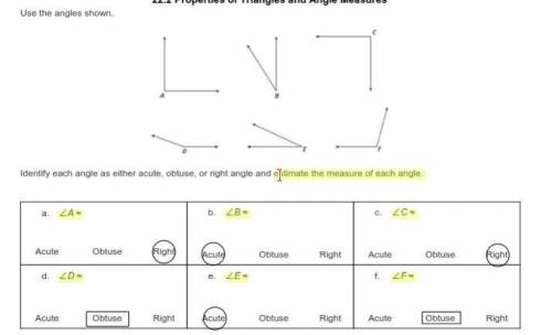 Identify each angle as either acute, obtuse, or right angle and estimate the measure of each angle.
