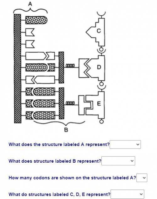 Can someone label the parts of each structure
