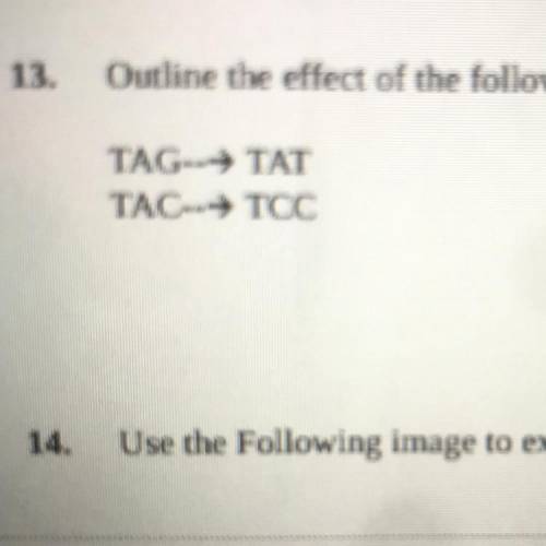 Outline the effect of the following mutations:
TAG-> TAT
TAC-> TCC