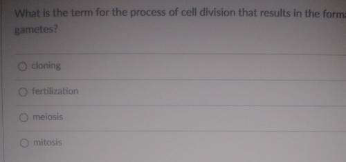 What is the term for the process of cell division that results in the formation of gametes ?​