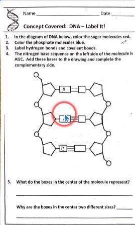 Help me with this asap please.