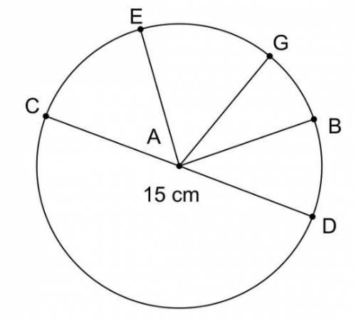 . Name a segment that is the radius. How long is it?

2. Name a segment that is the diameter.
3. W