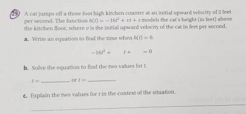 A cat jumps off a three foot high kitchen counter at an initial upward velocity of 2 feet per secon