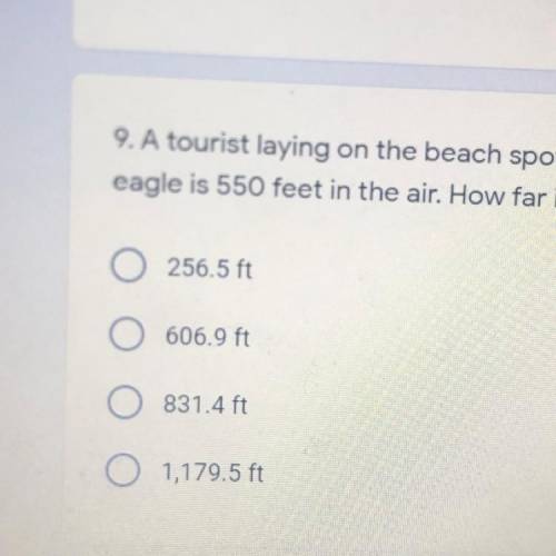 9. A tourist laying on the beach spots an eagle at a 65° angle of elevation. The

eagle is 550 fee