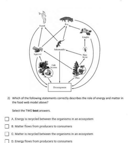 Which of the following statements correctly describes the role of energy and matter in the food web