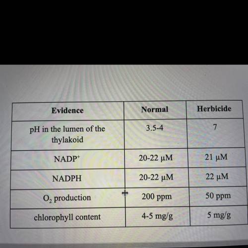 You are developing an herbicide and need to determine which process of the light reactions was disr