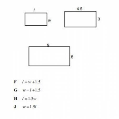Based of the following rectangular models, what is the relationship between the width, w, and the l
