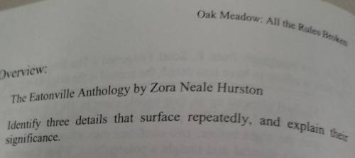 Read The Eatonville Anthology by Zora Neale Hurston. Identify three details that surface repeatedly