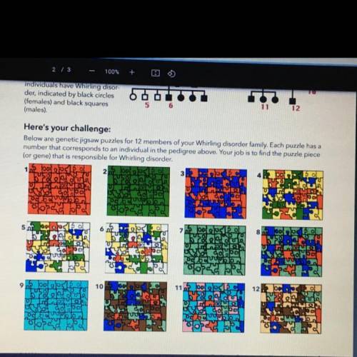 Here's your challenge:

Below are genetic jigsaw puzzles for 12 members of your Whirling disorder