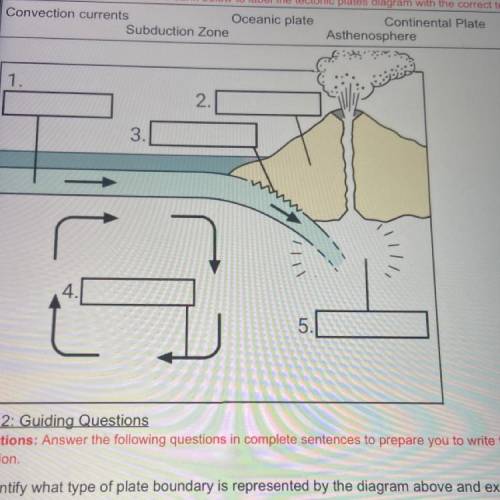 Please help me label the diagram my teacher never taught this and I need help. I need help ASAP