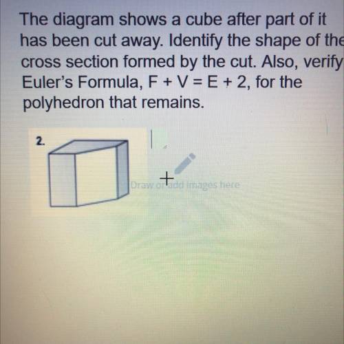 Extra points will report wrong answers

The diagram shows a cube after part of it
has been cut awa