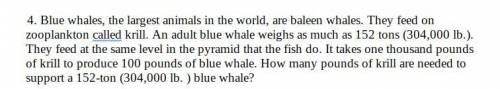 10,000 pounds of krill : 100 pounds of Blue Whale.