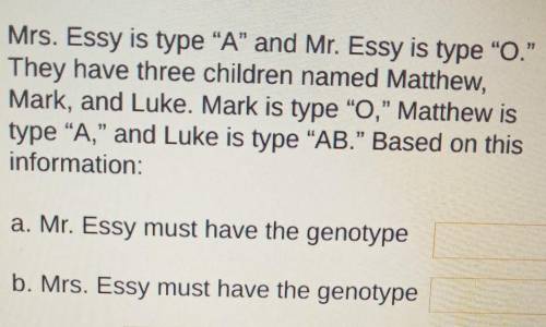 Mrs. Essy is type A and Mr. Essy is type O. They have three children named Matthew, Mark, and L