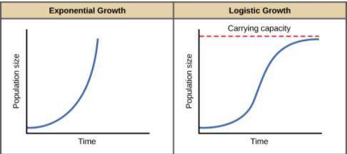 In the logistic growth model, as a population approaches the carrying capacity, what happens to its