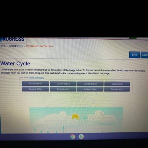 Water Cycle

Listed in the Item Bank are some important labels for sections of the image below. To