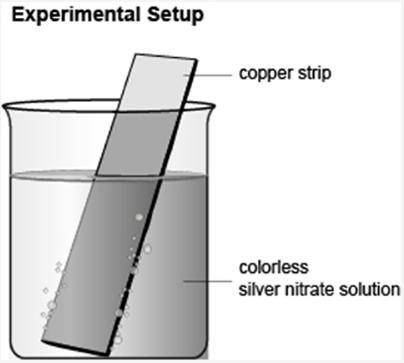 For 100pts! The diagram shows the setup of an experiment. A few observations of the experiment are