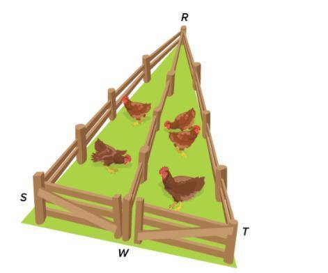 A triangular fence with two congruent angles, ∠S and ∠T , is used to enclose animals. A fence is co