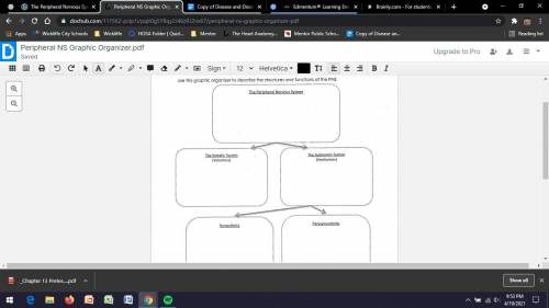 Use this graphic organizer to describe the structures and functions of pns.

I Will give brainlies