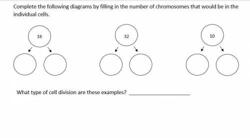 What type of cell division are these examples?
(For the two of them)