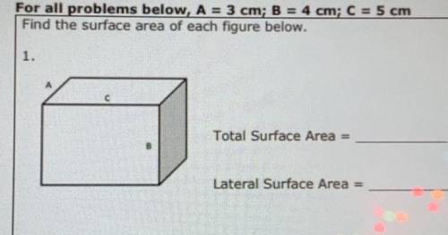 IMPORTANT: A = 3cm, B = 4cm, C = 5c

Find the surface area of each figure below (need two answers)