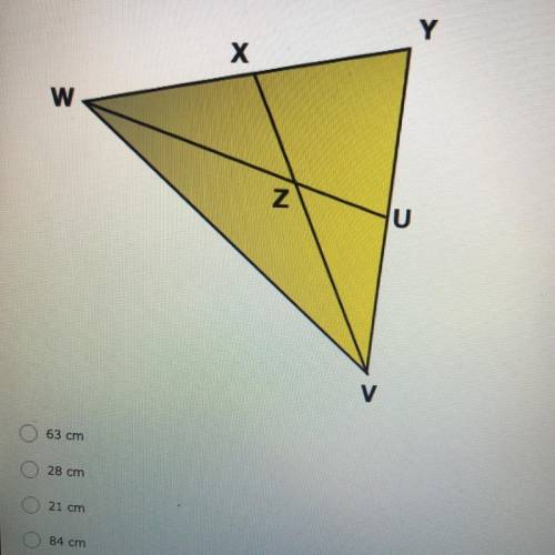 Point Z is a centroid of the triangle VWY. If VZ = 42 cm, what is VX?

63 cm
28 cm
21 cm
84 cm