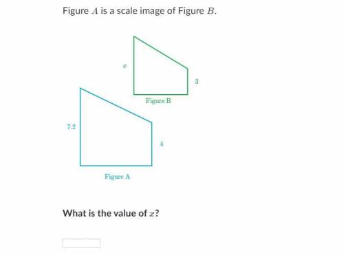 What is the value of x? PLS ANSWER ASAP