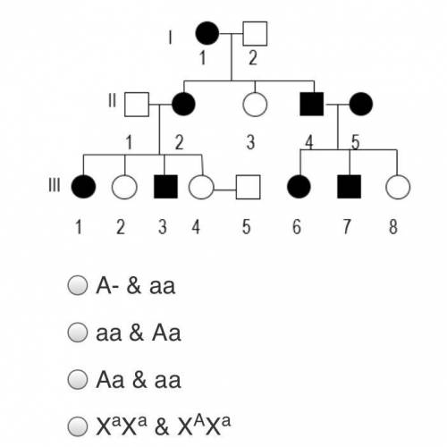 The genotype of individuals III-I and III-3, respectively are?

Answer choice in picture pls help