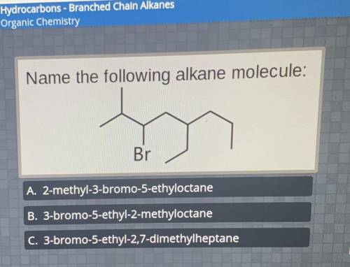 Name the following alkane molecule (picture)

A.) 2-methyl-3-broom-5-ethyloctane
B.) 3-bromo-5-eth