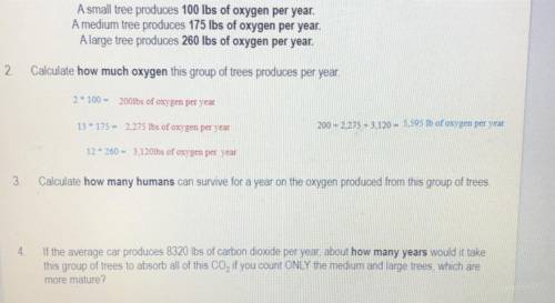 3. Calculate how many humans can survive for a year on the oxygen produced from this group of trees